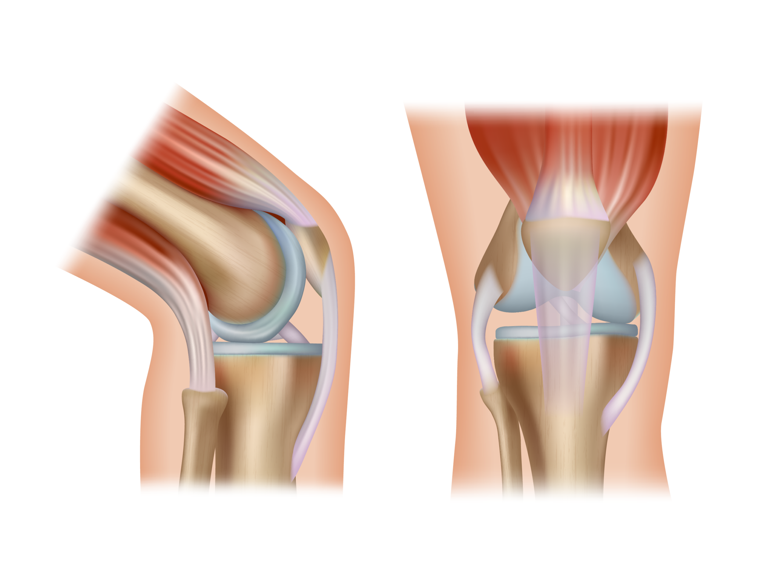 Knee Pain Location Guide: What Your Knee Pain May Be Telling You