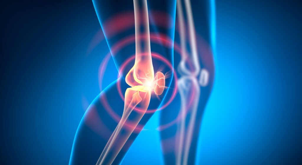 BPC-157 for Knee Pain: What Does the Research Actually Show?